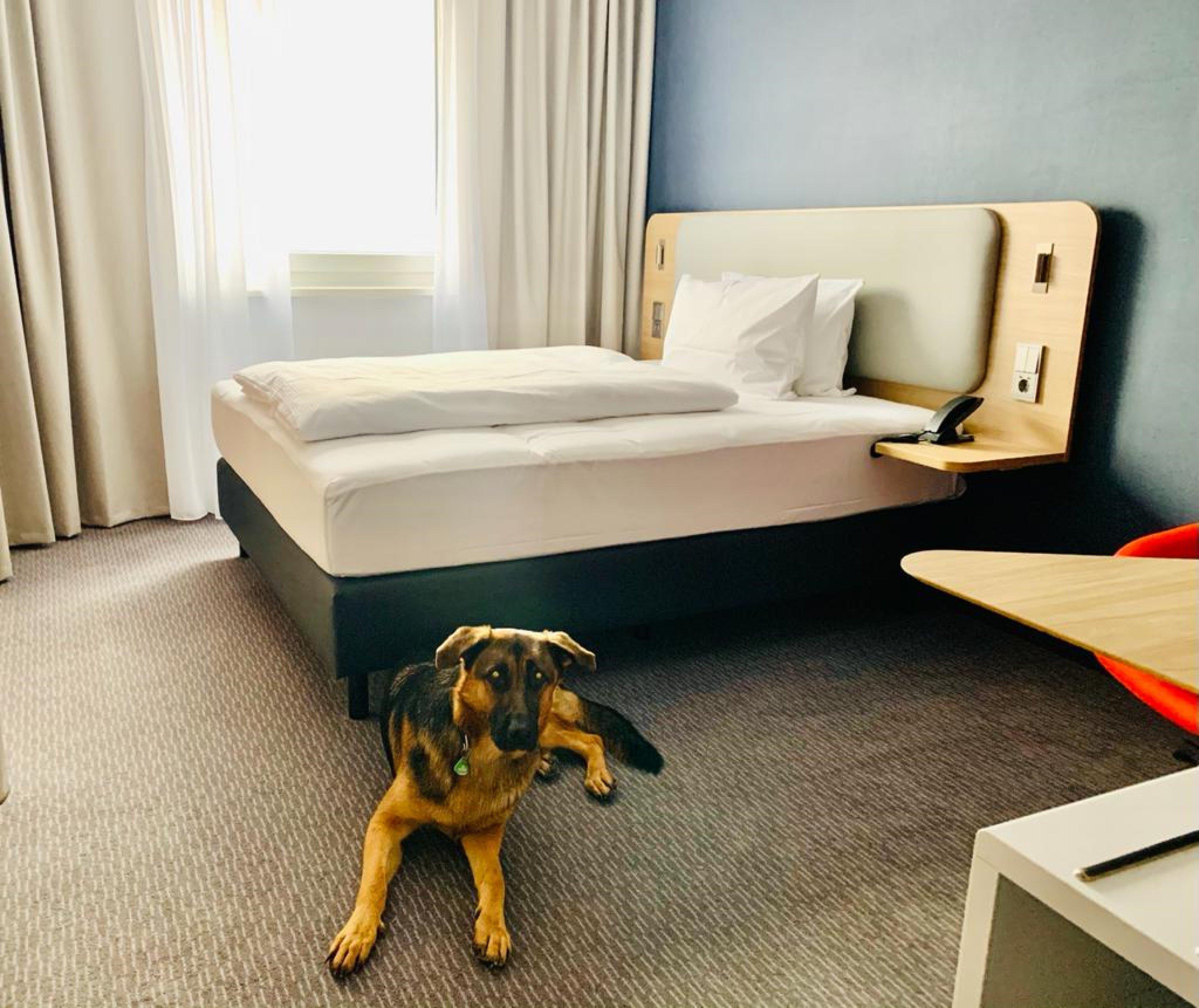 Holiday Inn Express Munich - Olching By Ihg Exterior foto